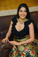 Nikki Tamboli Gallery